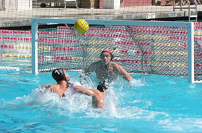 Water Polo dominates down south