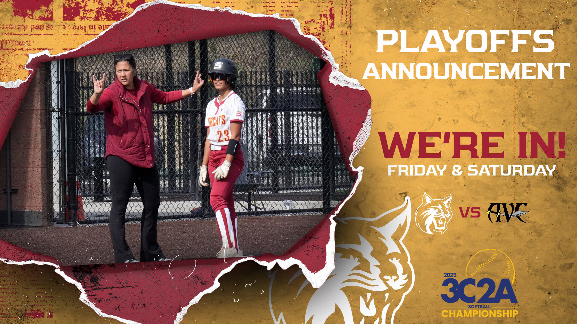 The Cats are in!