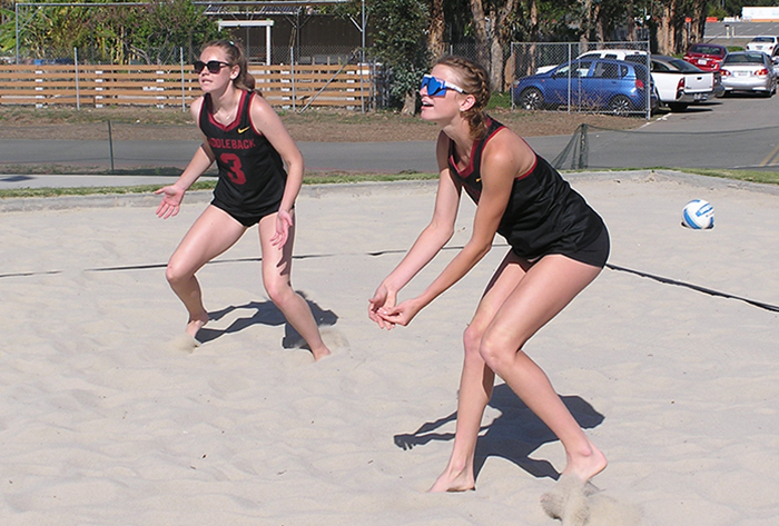 Bobcats dig deep in the sand