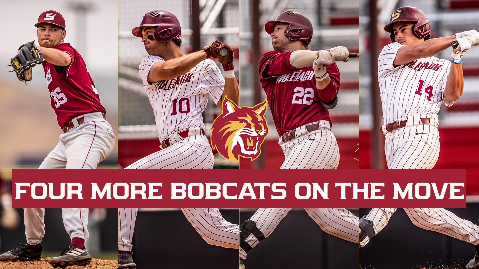 Four more Bobcats on the move
